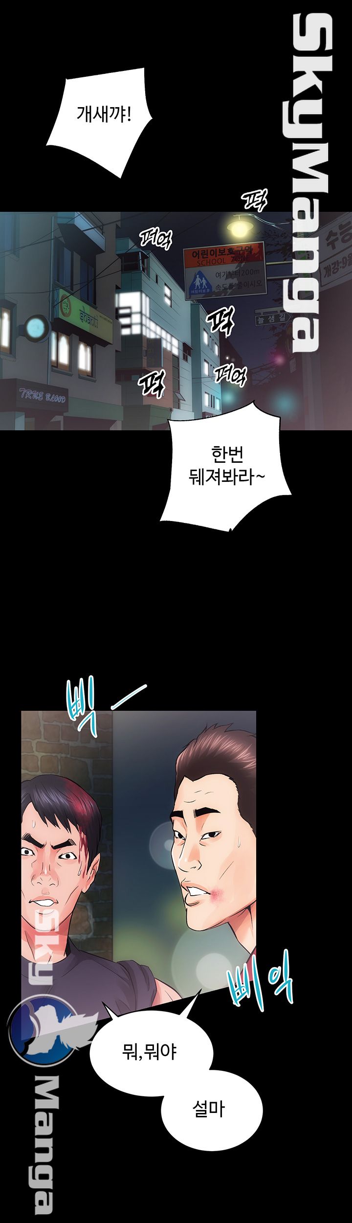 Authorized Agency Raw Chapter 11 Page 27