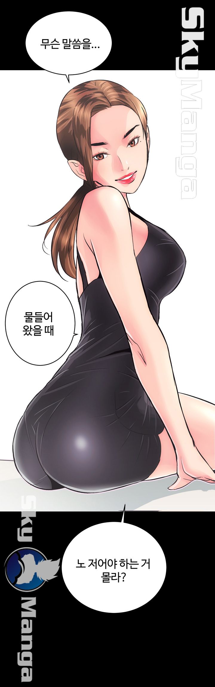 Authorized Agency Raw Chapter 2 Page 29