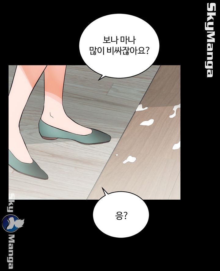 Authorized Agency Raw Chapter 3 Page 54