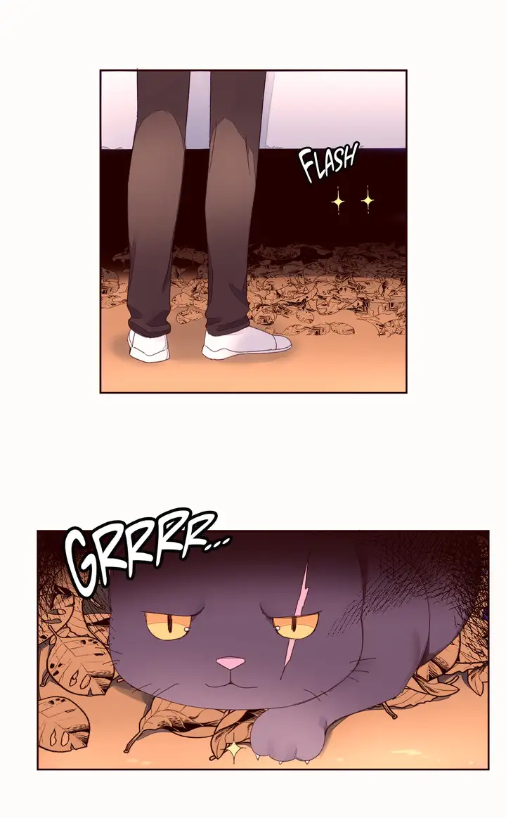 Pheromone Holic Chapter 41 Page 5