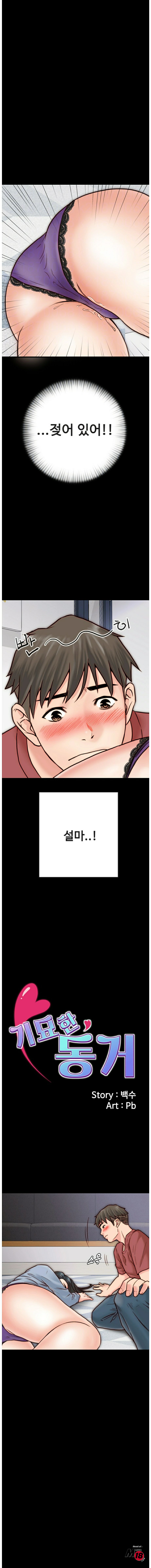 A Strange Cohabitation Raw Chapter 3 Page 5