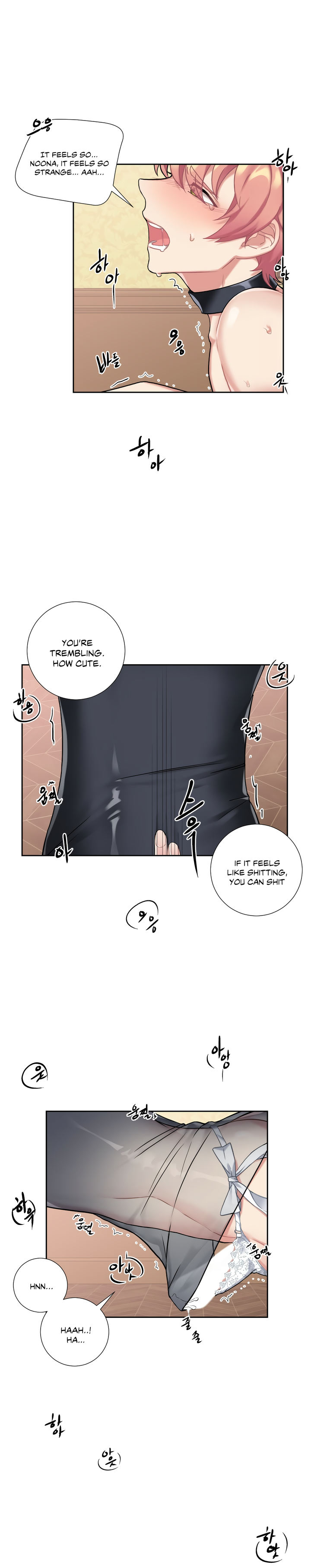 Lady & Maid Chapter 14 Page 17
