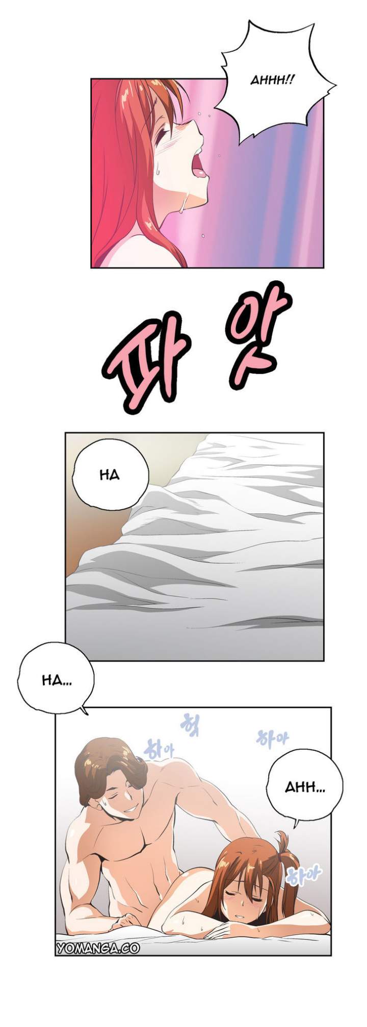 SStudy Chapter 11 Page 15
