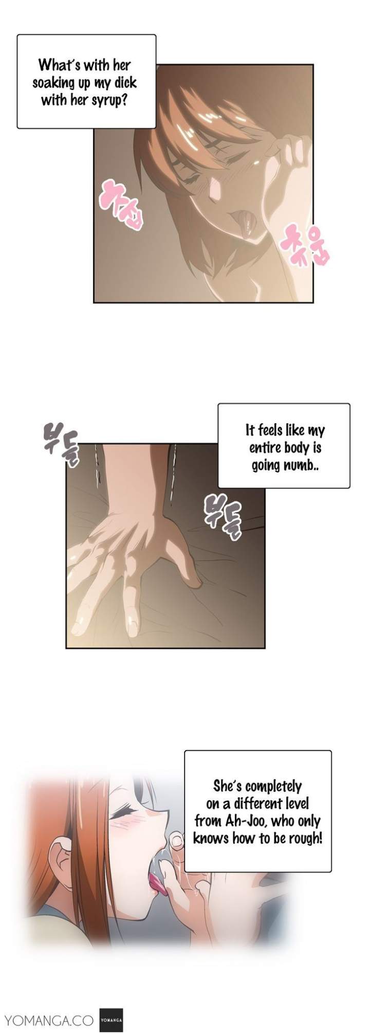 SStudy Chapter 19 Page 12