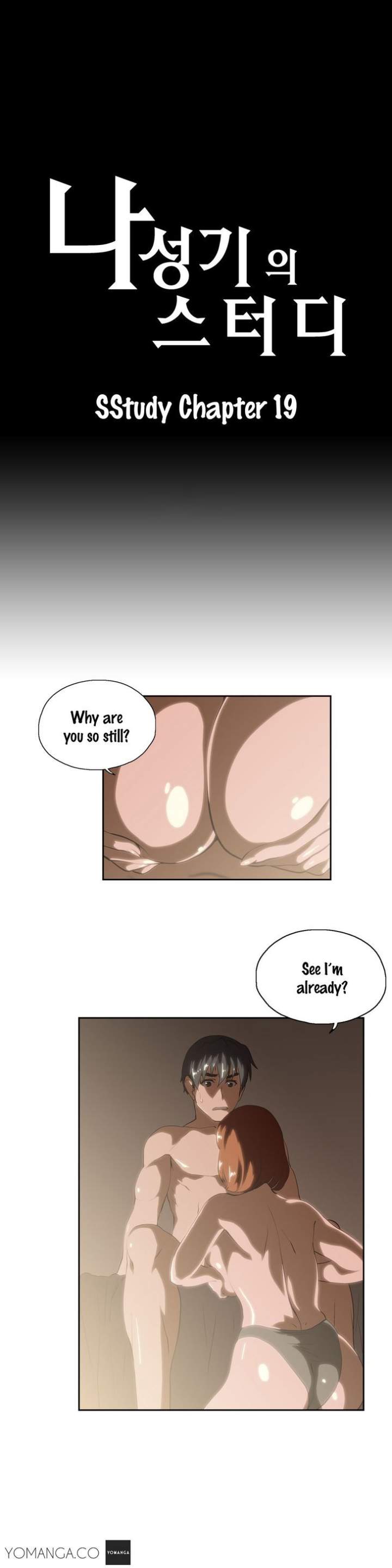 SStudy Chapter 19 Page 2