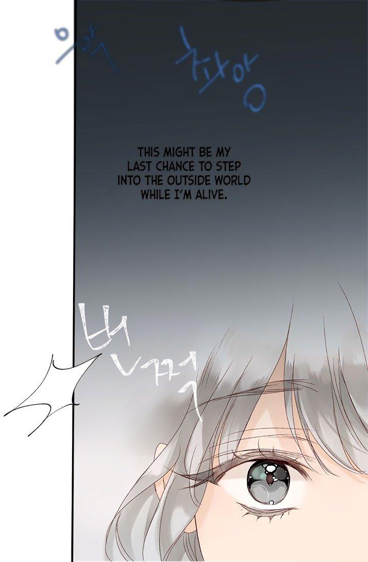 Sultan’s Love Chapter 1 Page 51