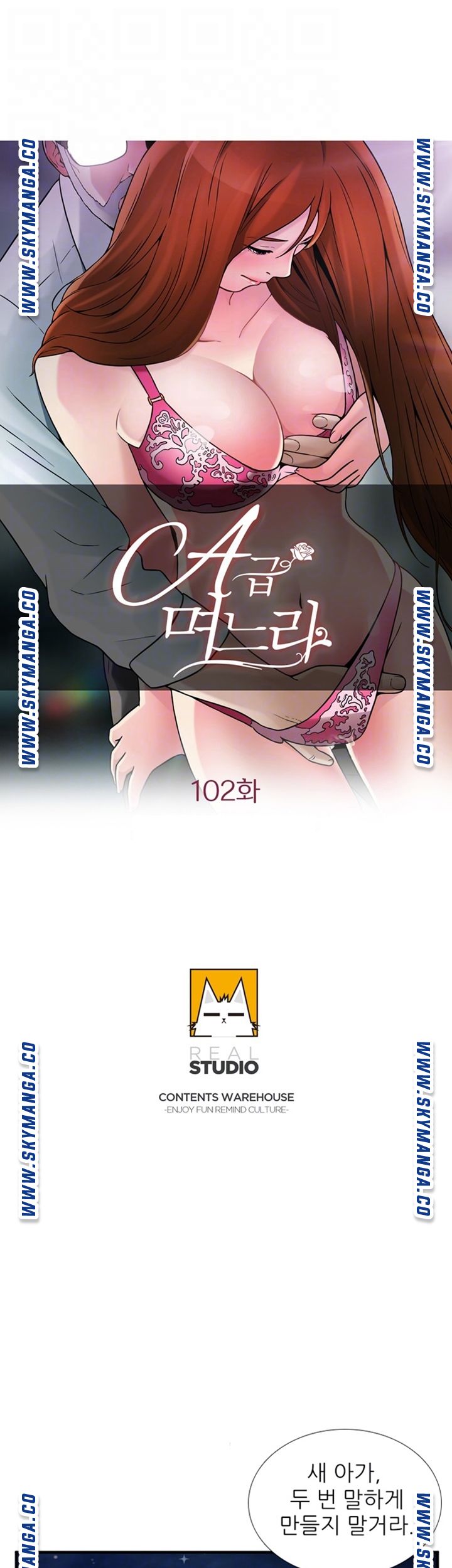 A-Class Daughter-in-Law Raw Chapter 102 Page 4