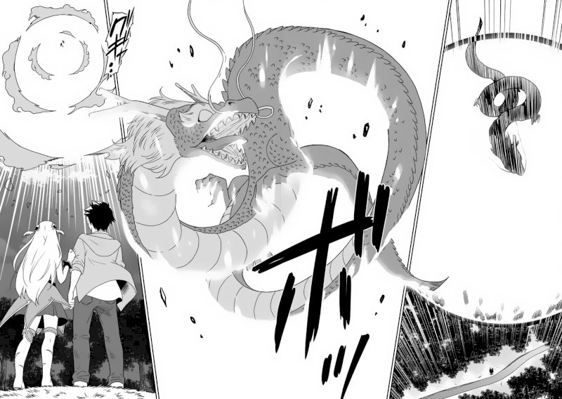 Saikyou no Shuzoku ga Ningen Datta Ken Chapter 5 Page 13