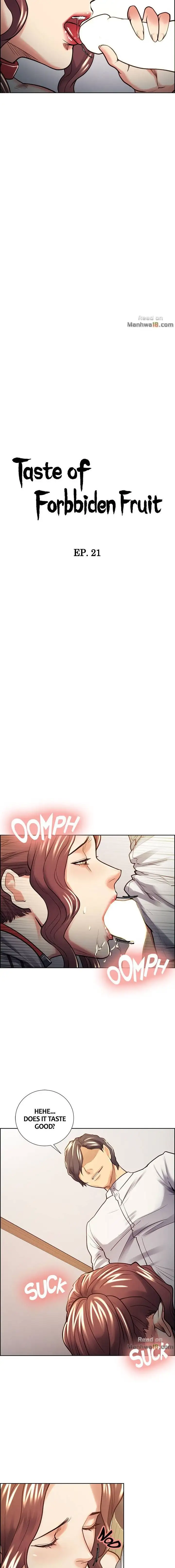 Taste of Forbbiden Fruit Chapter 21 Page 2
