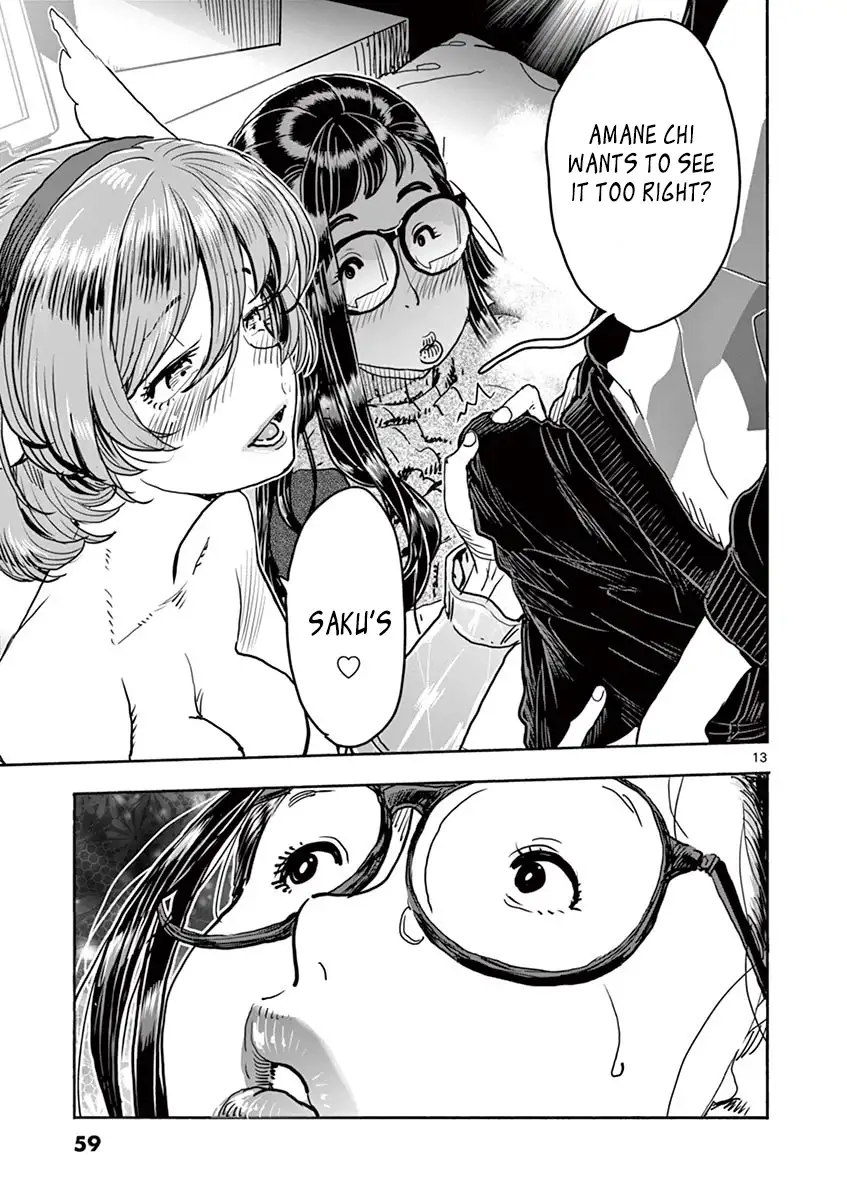 Hime Koukan: Otaku Circle no Hime ga Kareshi Koukan wo Goshomou na Ken Chapter 17 Page 14