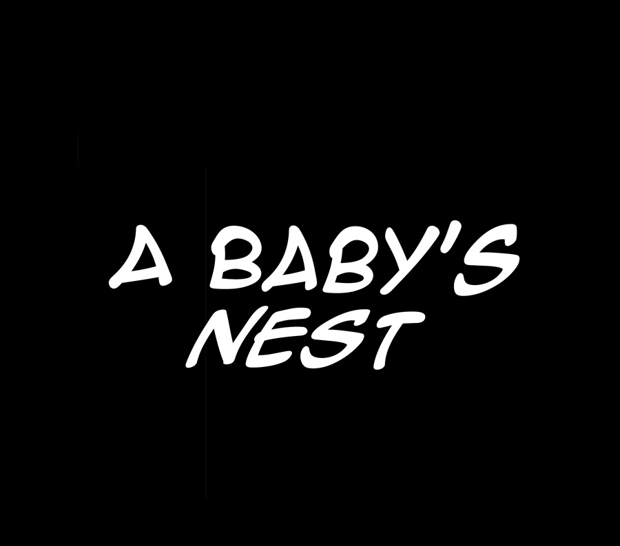 A Baby'S Nest Chapter 12 Page 3