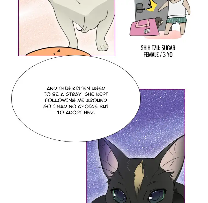Sugar 'N Spice Chapter 1 Page 17