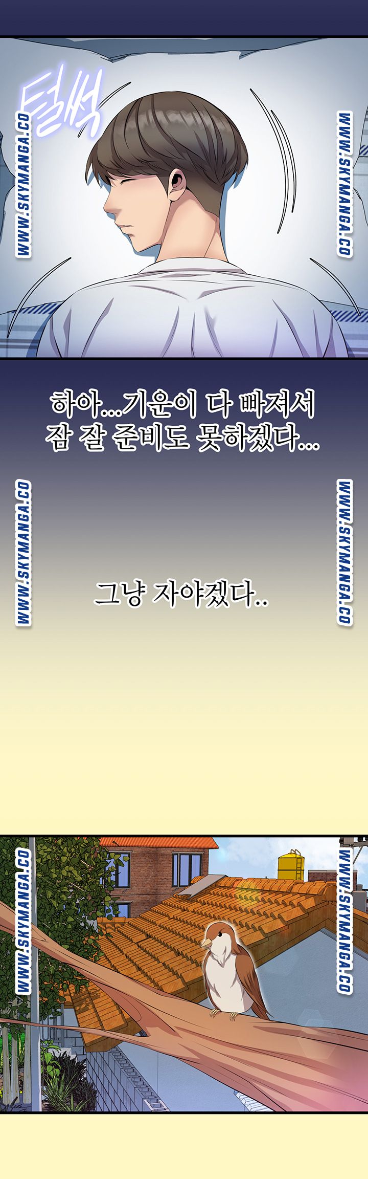 Boss of Reading Room Raw Chapter 11 Page 37