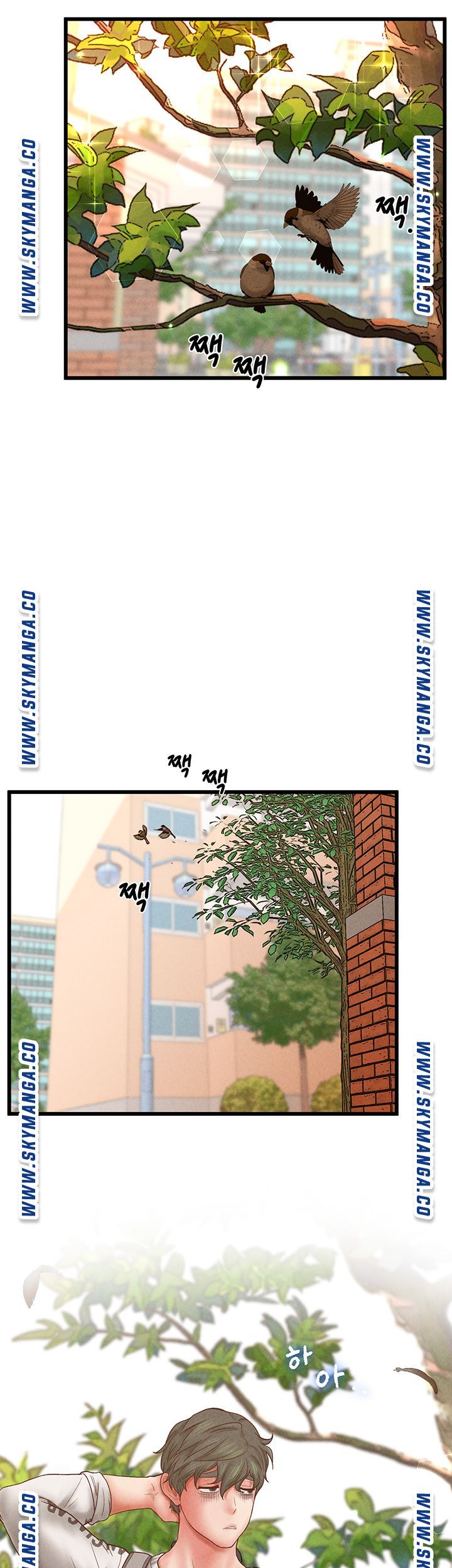 Secret Cohabitation Raw Chapter 35 Page 53