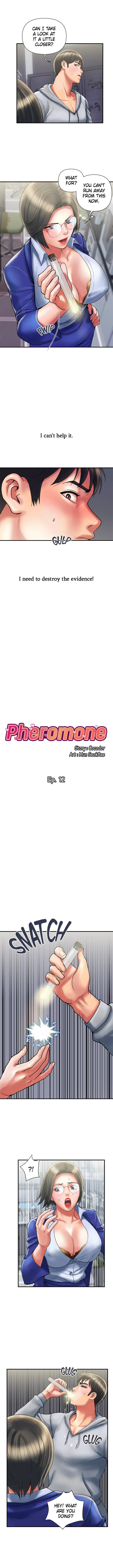 Pheromones Chapter 12 Page 2