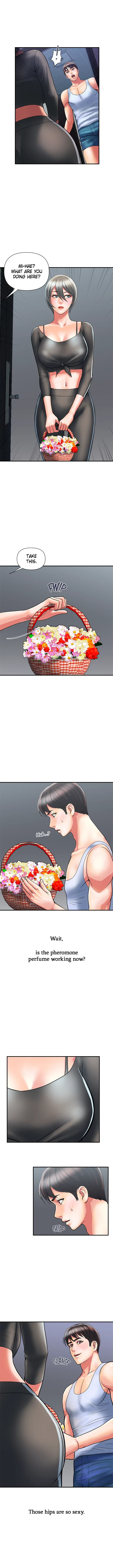 Pheromones Chapter 15 Page 1