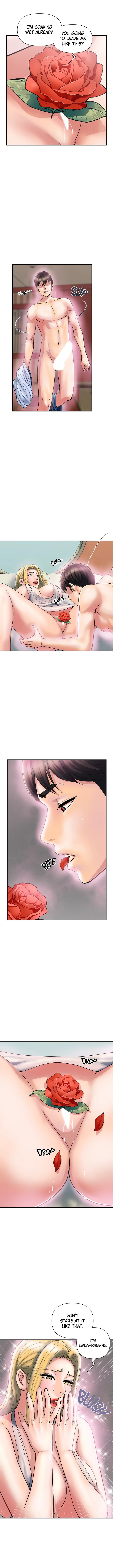 Pheromones Chapter 16 Page 3