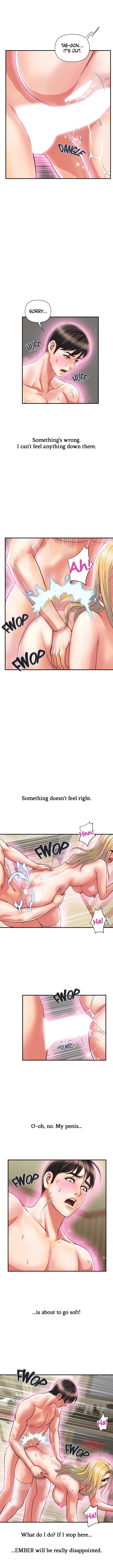 Pheromones Chapter 17 Page 4