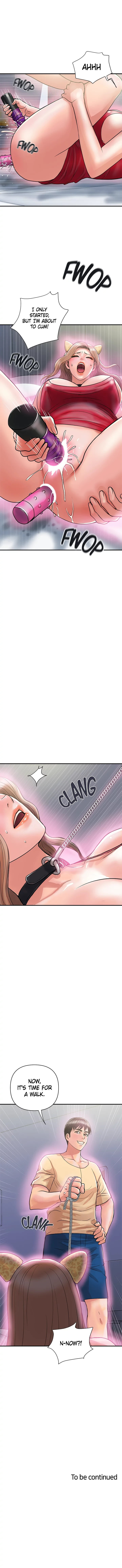 Pheromones Chapter 19 Page 12