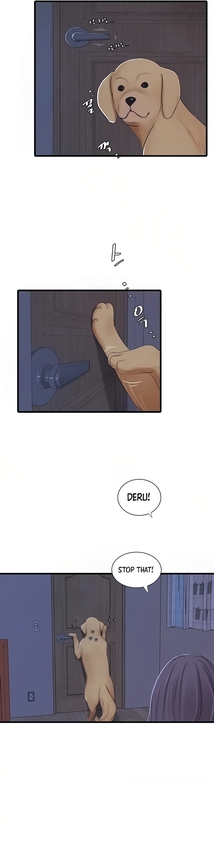 One’s In-Laws Virgins Chapter 62 Page 12