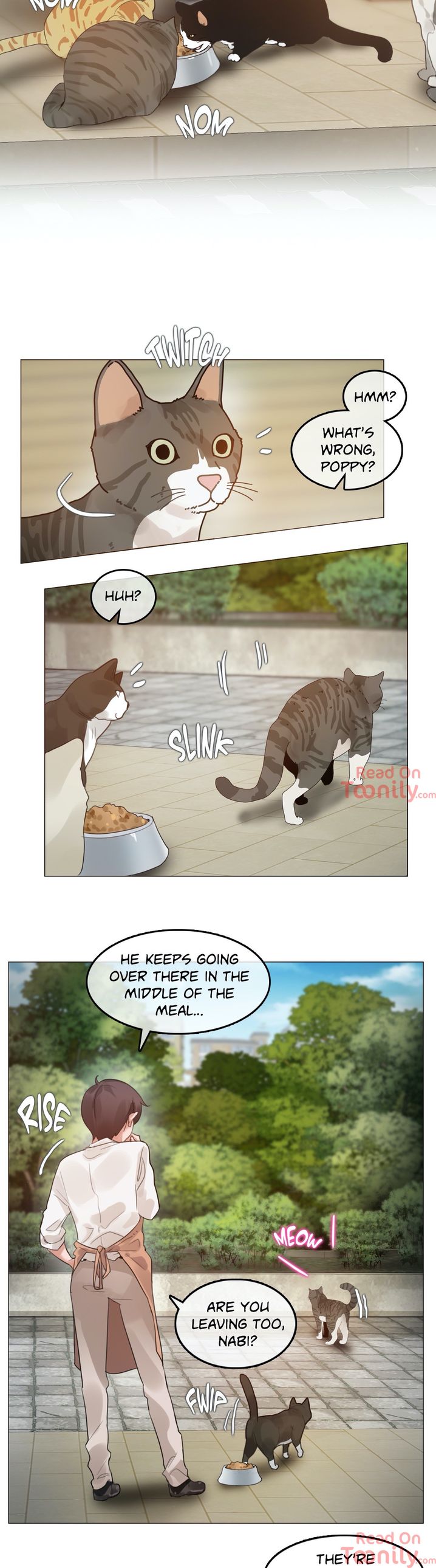 A Pervert’s Daily Life Chapter 72 Page 2